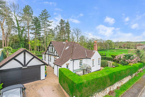 Photo 45- click for photo gallery